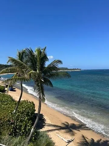 Loveshack Villa In Shacks Beach, Isabela Puerto Rico